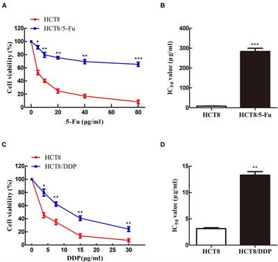 Identification of Circular RNAs Associated With Chemoresistance in Colorectal Cancer